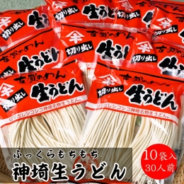 ふっくらモチモチ神埼生うどん 10袋入 (H014125)