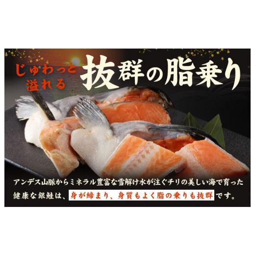 ふるさと納税 大阪府 泉佐野市 訳あり 銀鮭（カマ 尻尾）切り落とし 4kg 小分け 1kg×4パック