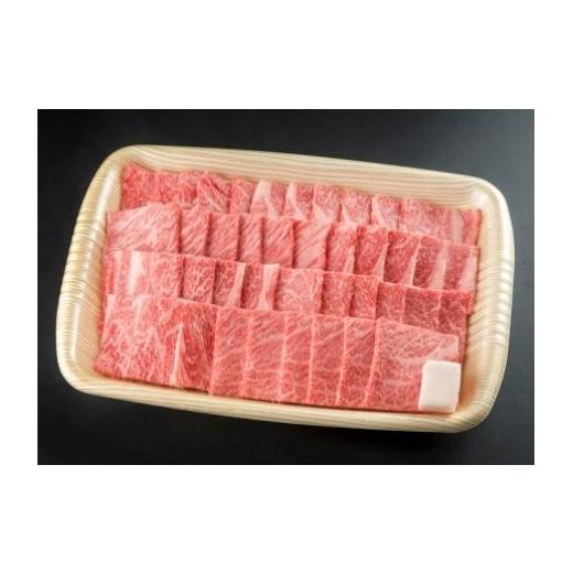 ふるさと納税 岐阜県 七宗町 ※HNP-07飛騨牛焼肉用飛騨牛肩ロース肉700g