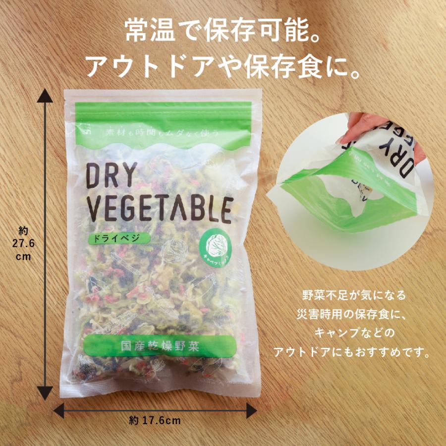 乾燥野菜 国産 DRYVEGETABLE 140ｇドライベジ ミックス 野菜 一人暮らし 常備菜 時短 味噌汁の具 キャベツ 白菜 小松菜 人参 大根 玉ねぎ