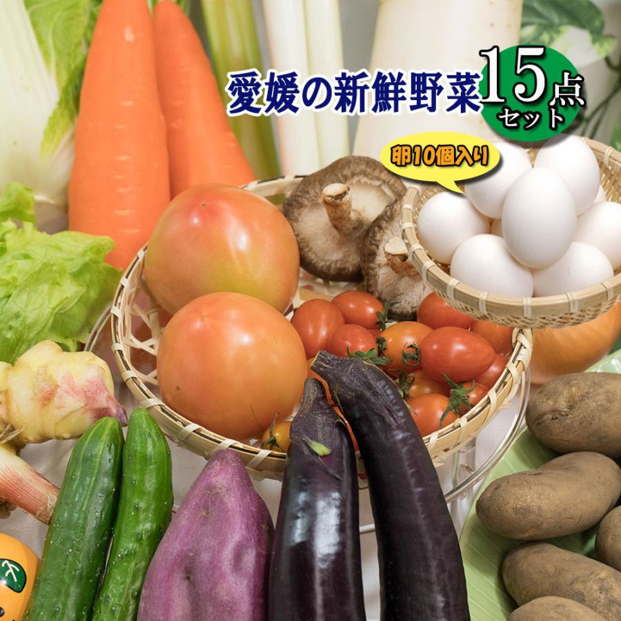 野菜詰め合わせ 野菜 詰め合わせ 15品 卵 10個入 送料無料 冷蔵便