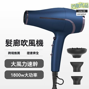【沙龍大功率】電吹風機 負離子吹風機 大功率風筒 專業造型 快速幹發 沙龍家用兩用 2000W強風 護髮不傷發