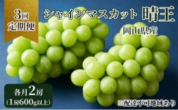 ぶどう 定期便 2024年 先行予約 シャイン マスカット 晴王 各月2房（1房600g以上） 3回コース マスカット ブドウ 葡萄  岡山県産 国産 フルーツ 果物 ギフト [№5220-1402]