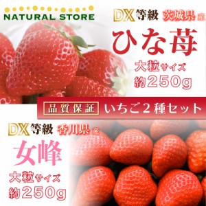 [予約 2024年2月15日-2月22日の納品] 遅れてごめんねバレンタイン ひな苺 × 女峰 約250g× 2パック DX 大粒 食べ比べ ブランド 苺 ギフ