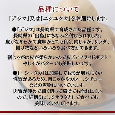 ふるさと納税 松浦市 訳あり!ご家庭用に大活躍!農家直送の新じゃが　10kg