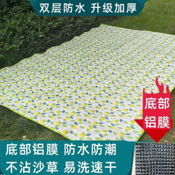小飛葉鋁膜野餐墊戶外露營野營墊可折疊帳篷地墊網紅加厚春游地墊