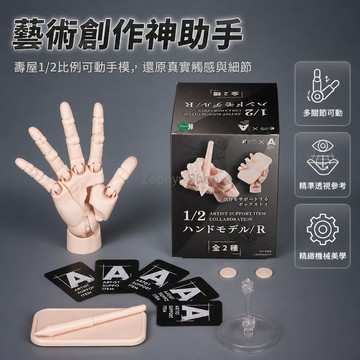 台灣出貨✨ 1/2 手模型 超可動人偶手 帶支架繪畫素描 國產標準右手 彩盒裝收藏級 藝用人體解剖手模