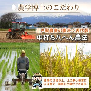 ふるさと納税 SB0395　令和5年産自然栽培米 ササニシキ　5kg〔農学博士が育てたお米〕 HA 山形県酒田市