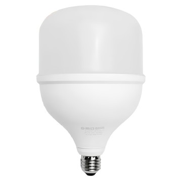 東亞照明 LED T型燈泡 45W 晝光色 E27燈頭 節能省電 長壽耐用  1個