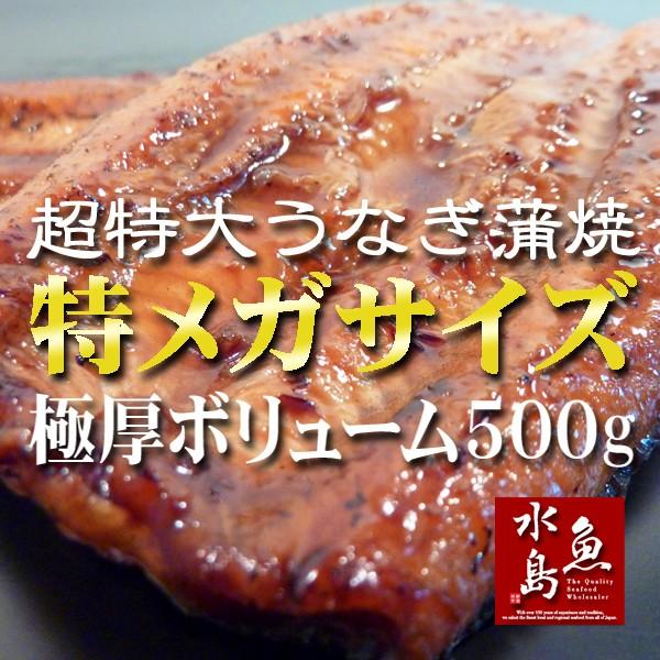 炭火焼 鰻うなぎ蒲焼き 超特大 極厚の食べ応え 特メガサイズ 約500g×1尾 父の日ギフト 土用丑の日 お中元