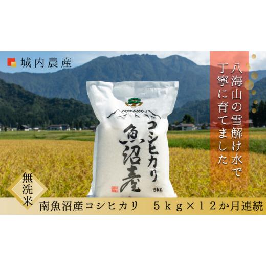 ふるさと納税 新潟県 南魚沼市 新米 令和５年産 南魚沼産コシヒカリ　無洗米５ｋｇ＜５割減農薬栽培米＞　城内農産