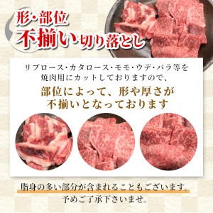 2月発送★信州高原和牛 焼肉切り落とし 600g