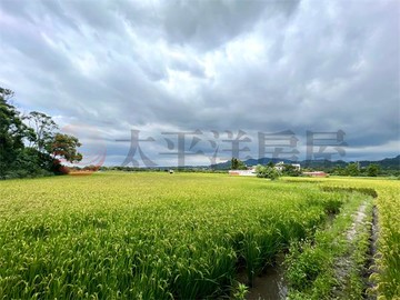 三坑生態公園農地1｜桃園市龍潭區指嚴宮附近