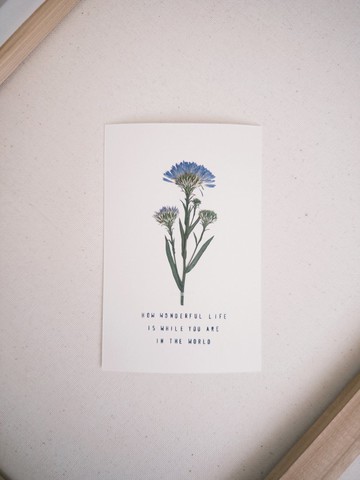 The Far Afield 美好人生押花明信片