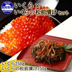 北海道産「いくら醤油漬け」250g「いくらの松前漬け」150g セット 北海道 倶知安町