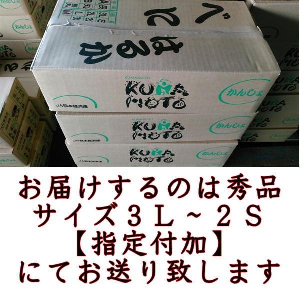 Y P秀品　蔵出し　1箱サイズさつまいも　熊本産　80サイズ