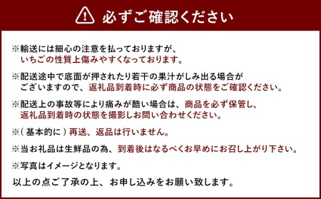  あまおう DX 約280g × 2パック 合計約560g いちご 苺 イチゴ フルーツ 果物