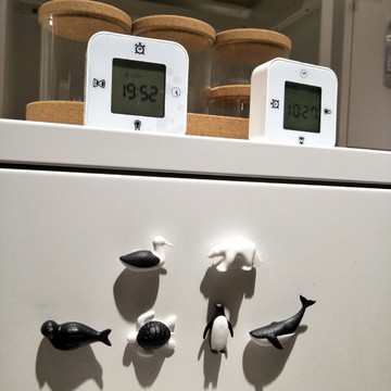 QUALY 拯救海洋-磁鐵(6入)