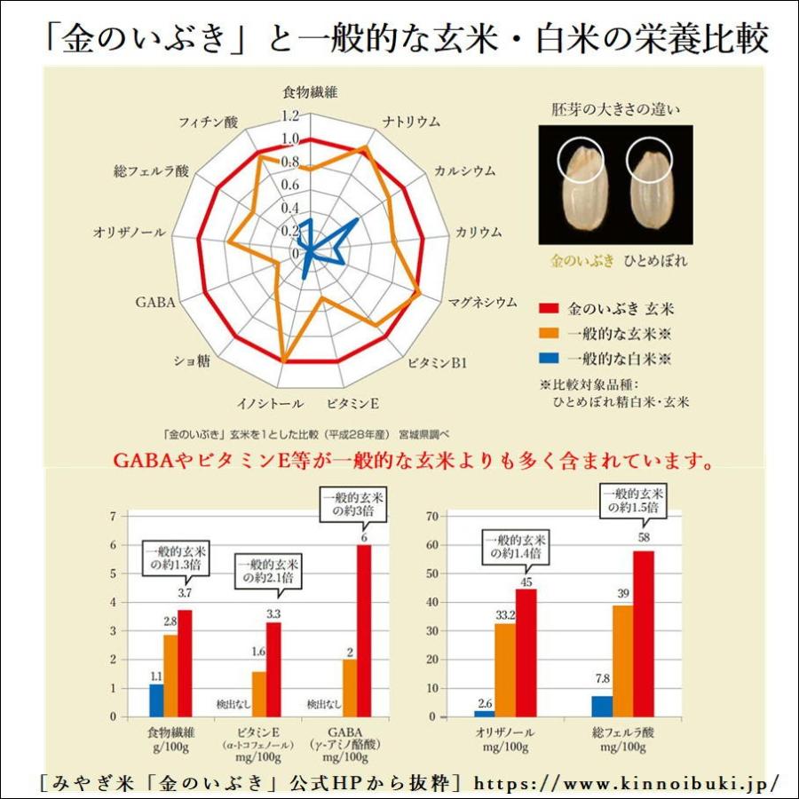 金のいぶき 玄米 900g 送料無料 お試し 玄米ダイエット 玄米食専用米 宮城県