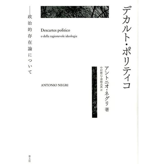 デカルト・ポリティコ 政治的存在論について