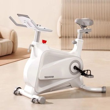 飛輪健身車 磁控智能動感單車 運動自行車 健身房家用超靜音 室內健身車