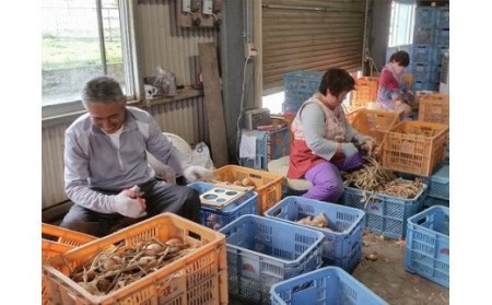 ひょうご安心ブランド★特別栽培★淡路島たまねぎ