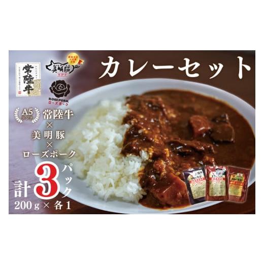 ふるさと納税 茨城県 行方市 DT-51カレー１袋＋カレー１袋＋カレー１袋