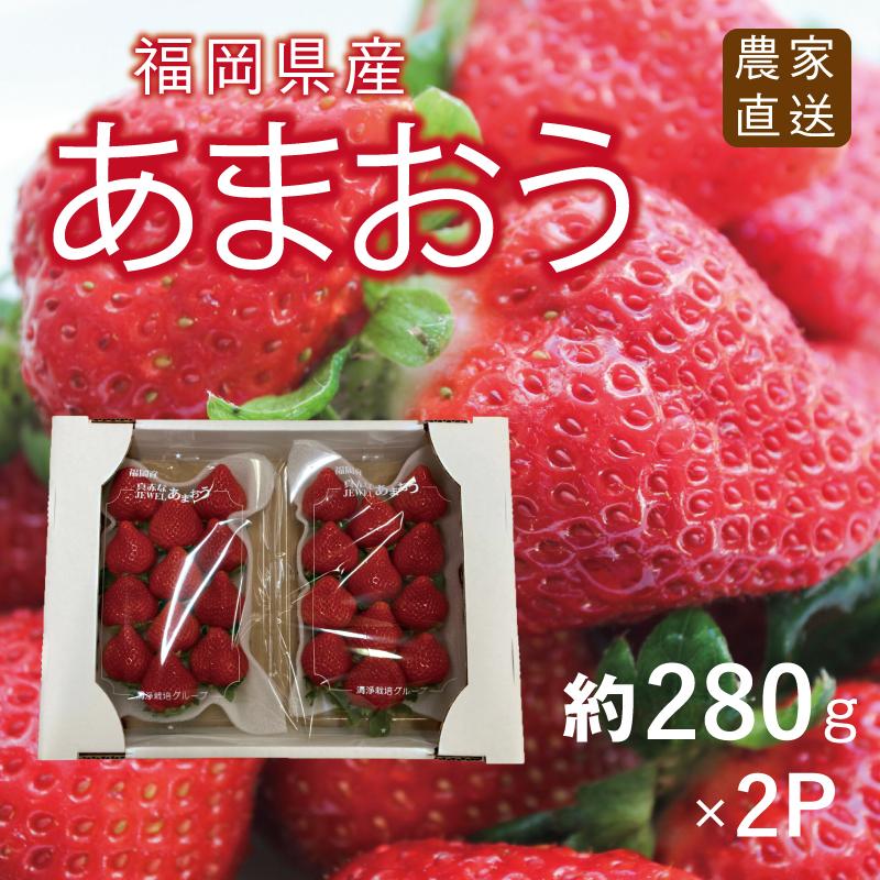 2月上旬発送予定 あまおう 福岡県産 いちご イチゴ 苺 朝採り 農家直送 産地直送 お取り寄せ 甘い 美味しい 濃厚 旬 ご家庭用 ご自宅用 280g×2パック