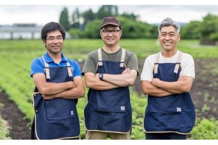 花巻産まるごと野菜ドレッシング3本セット 