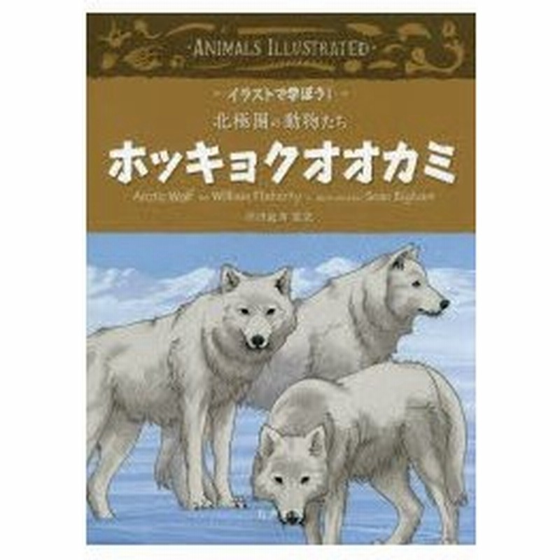 ホッキョクオオカミ 通販 Lineポイント最大0 5 Get Lineショッピング