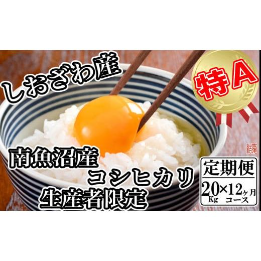 ふるさと納税 新潟県 南魚沼市 生産者限定 契約栽培 南魚沼しおざわ産コシヒカリ