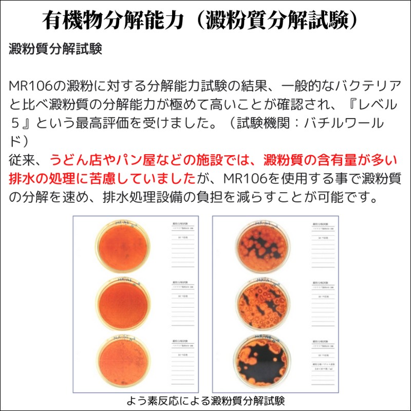 豪華で新しい グリース様 26.5 - 靴