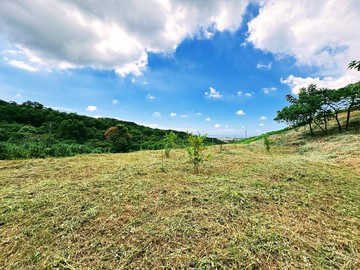 假日【城市農夫】楊梅交流道 楊光小學 景觀農地｜桃園市楊梅區二重溪段