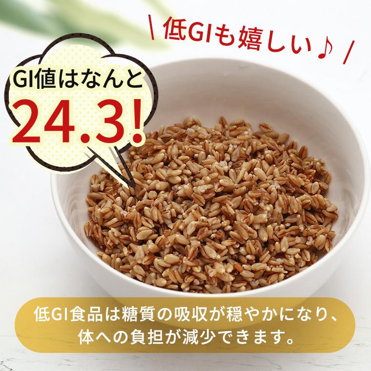 スーパー大麦 ロースト バーリーマックス 150g 送料無料 腸活 スーパーフード レジスタントスターチ