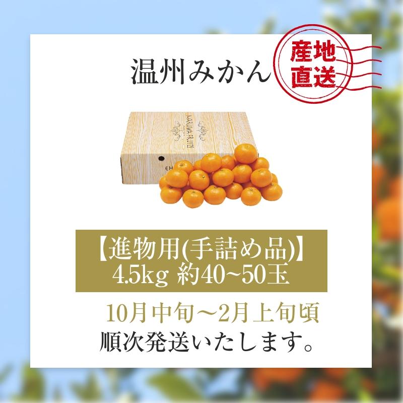 みかん 温州みかん 4.5kg 進物用 手詰め品 約40~50玉 愛媛県産みかん 産地直送 送料無料 お歳暮 2023 お歳暮2023 ギフト グルメ