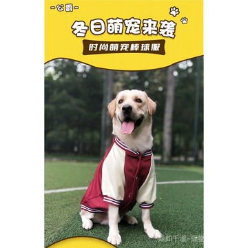 棒球服寵物服裝中大型犬金毛拉布拉多狗狗衣服秋冬裝新款