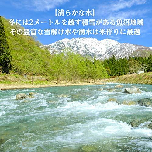 新潟 魚沼 新米 黄金あらた 杵つき 切り餅 シングルパック もち 約10個 (500g)