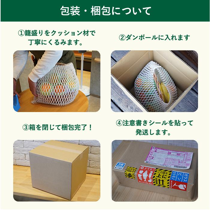 お中元 送料無料 お盆 プレゼント フルーツ 籠盛り（ お中元 お歳暮 誕生日  内祝い 結婚 中元 歳暮 出産 出産祝い 出産内祝い 暑中見舞い 果物 かご盛り 