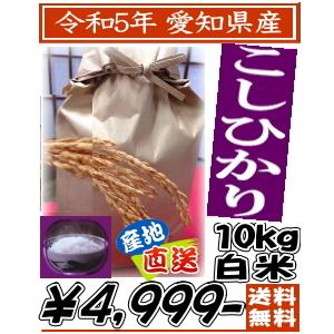 新米 白米 こしひかり10kg 令和5年産 愛知県産　送料無料　一部地域は重量別特別送料が加算されます