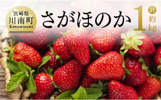  宮崎県産 いちご 「 さがほのか 」 270ｇ×4パック  [E3811]