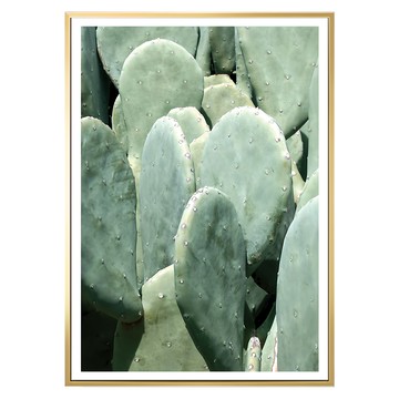 叢叢多肉小鮮綠I  相框畫芯  70 x 50cm  金色
