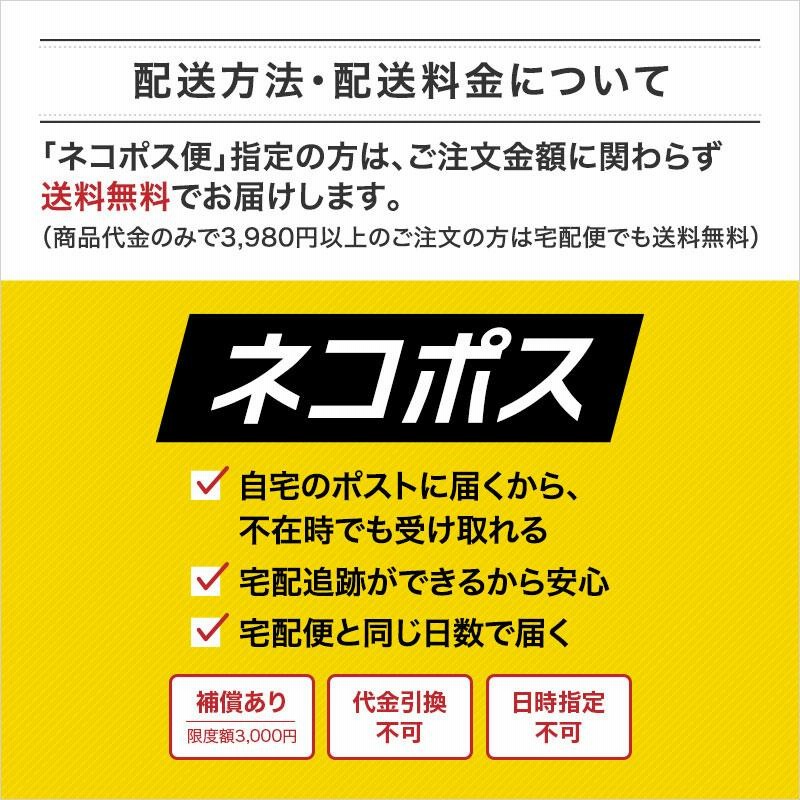 チタン 腕時計ベルト サテン 17mm 18mm 19mm 20mm 弓カン 対応