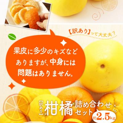 ふるさと納税 室戸市 柑橘詰め合わせセット(約2.5kg)　柑橘セット 柑橘類 果物セット 5000円