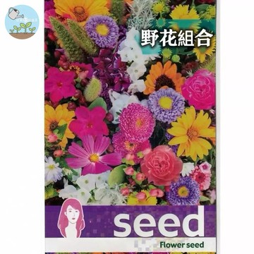 【原廠包裝】野花組合種子(Wildflower mix) 四季開花 懶人灑種 蜜源植物 庭院花海 綠化草坪陽台盆栽