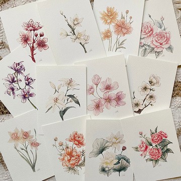 復古的春花圖鑑 萬用卡片 / 明信片 共十二款