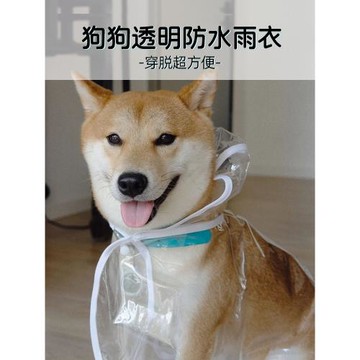 寵物小狗狗透明雨衣大型金毛小型犬中型犬泰迪柴犬衣服防護服防水