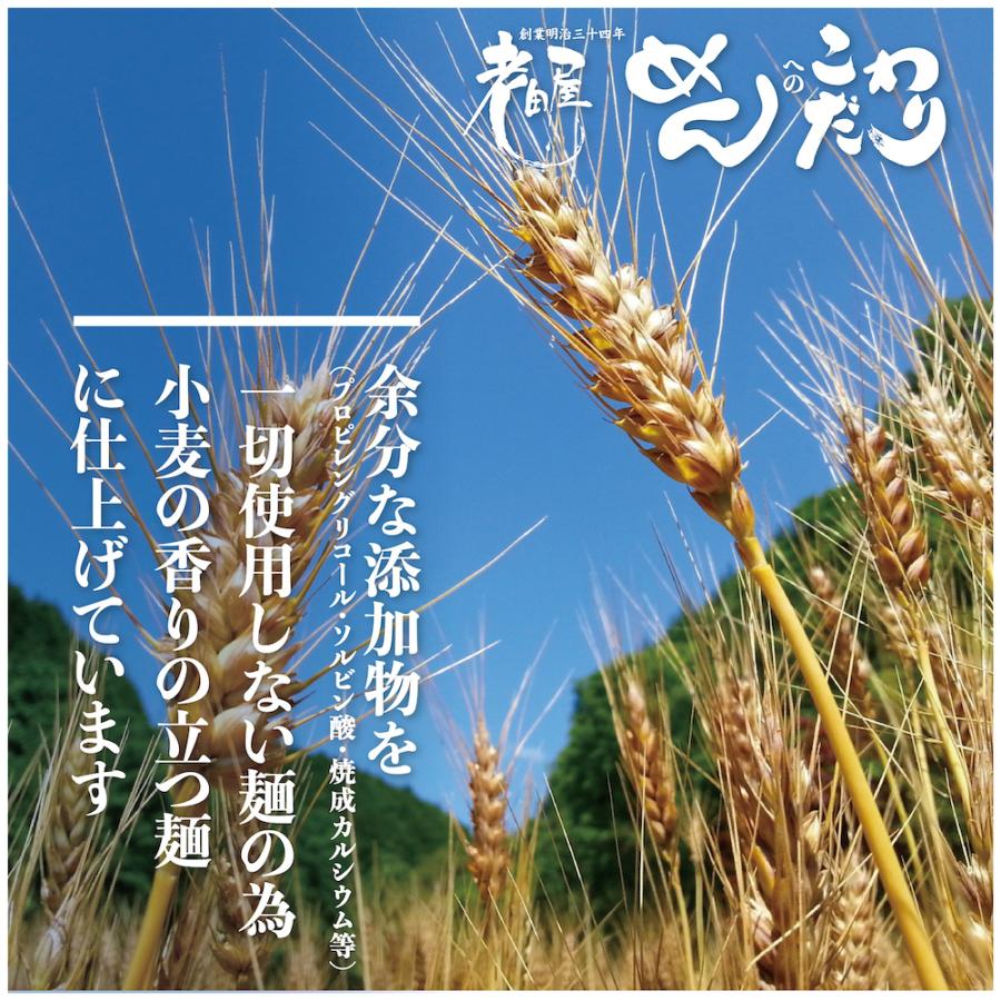 飛騨冷し中華　6食セット　送料無料　冷し中華　細打ちぢれ麺　観光地応援　飛騨市