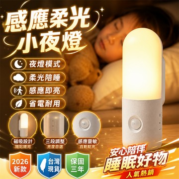 2026新款🏅宿舍小夜燈 玄關小夜燈 露營小夜燈 兒童小夜燈 房間小夜燈 小夜燈 夜燈 床頭燈 照明燈 自動感應燈