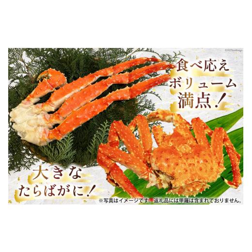 ふるさと納税 長崎県 島原市 EB055お手軽！たらばがに1.24kg（620g×2パック）