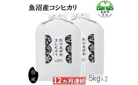 定期便 12ヶ月 連続お届け 魚沼産 コシヒカリ 精米 10kg 米 お米 こめ コメ おこめ 白米 こしひかり 12回 お楽しみ